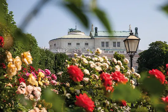 Rosas en el Volksgarten con el Burgtheater al fondo