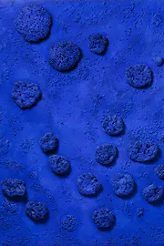 Umělecké dílo - Yves Klein, Untitled Blue Sponge Relief (RE1)