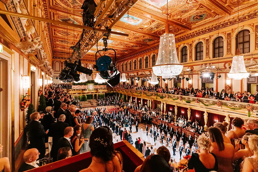 Philharmonikerball, Musikverein