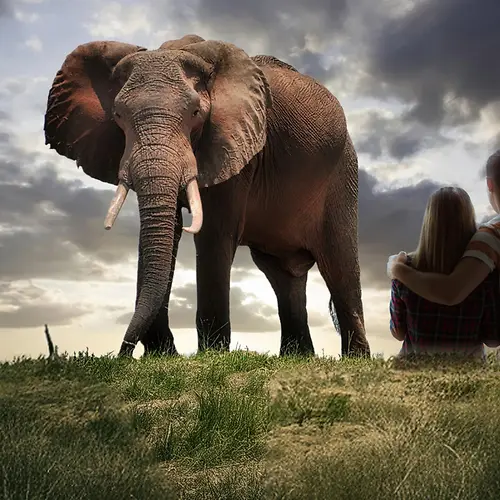 Immersium museum, interactive exhibition on animals