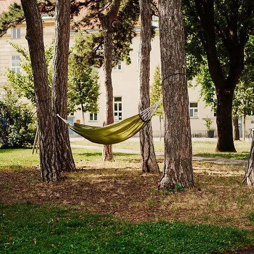 Hammock between trees in the Old AKH