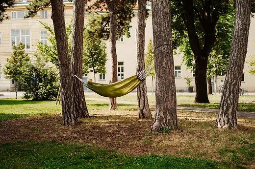 Hammock between trees in the Old AKH