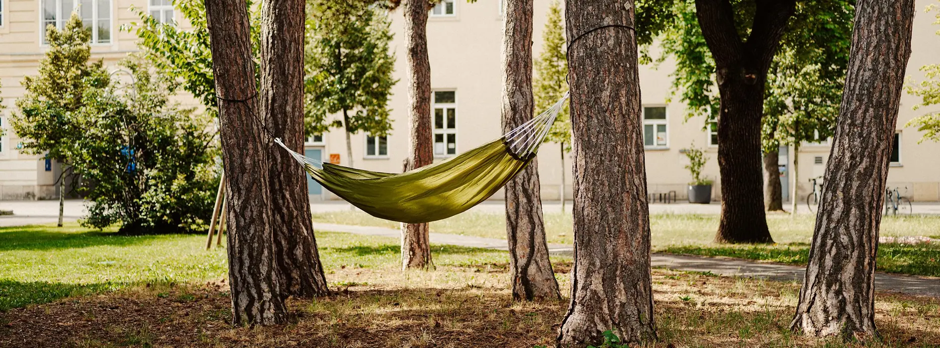 Hammock between trees in the Old AKH