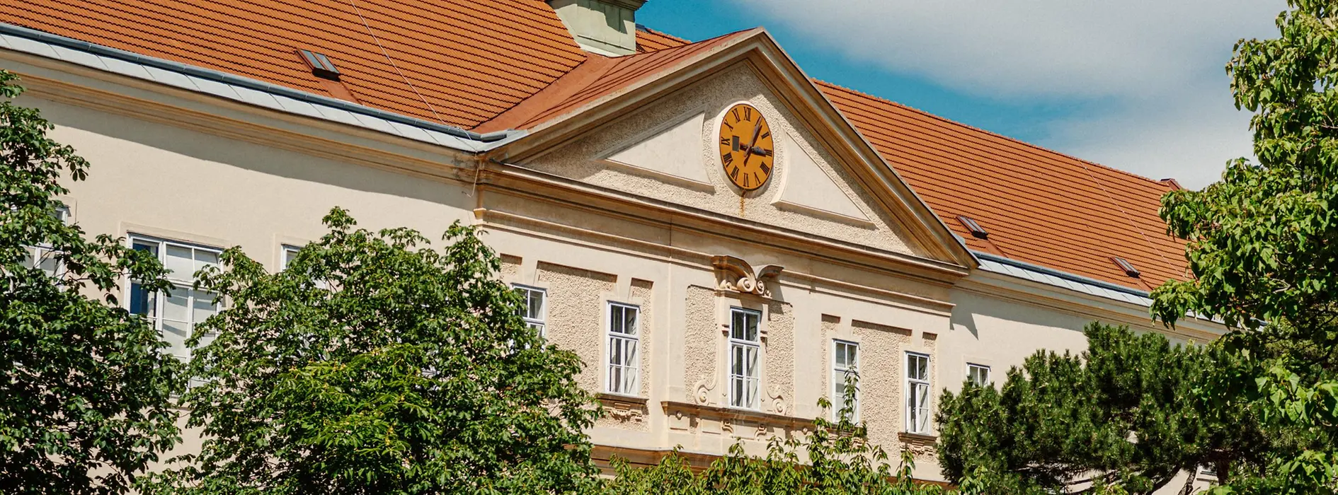 Old AKH with meadow in the foreground