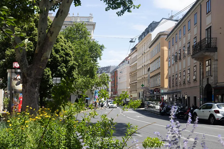 Scena di strada con aree verdi in Margaretenstraße a Vienna