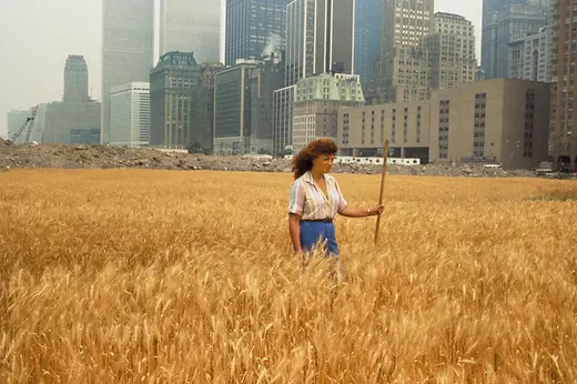 Photograph, Ágnes Dénes, Wheatfield, A Confrontation: Battery Park Landfill, Downtown Manhattan, 1982