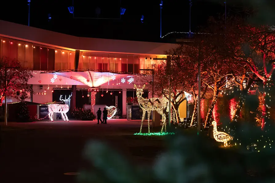 Nativity scene world in Mörbisch at night