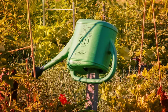 Watering can hanging in a garden