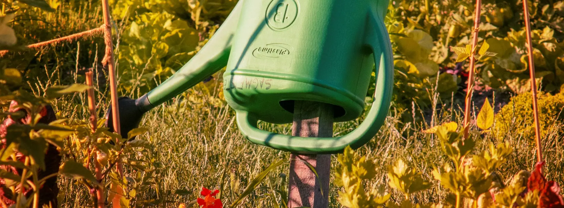 Watering can hanging in a garden